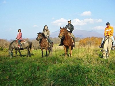 サニーズ・ステーブル